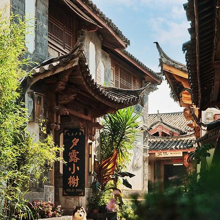 Xilu Xiaoxie Inn Old Town Lijiang Lijiang  Exterior photo