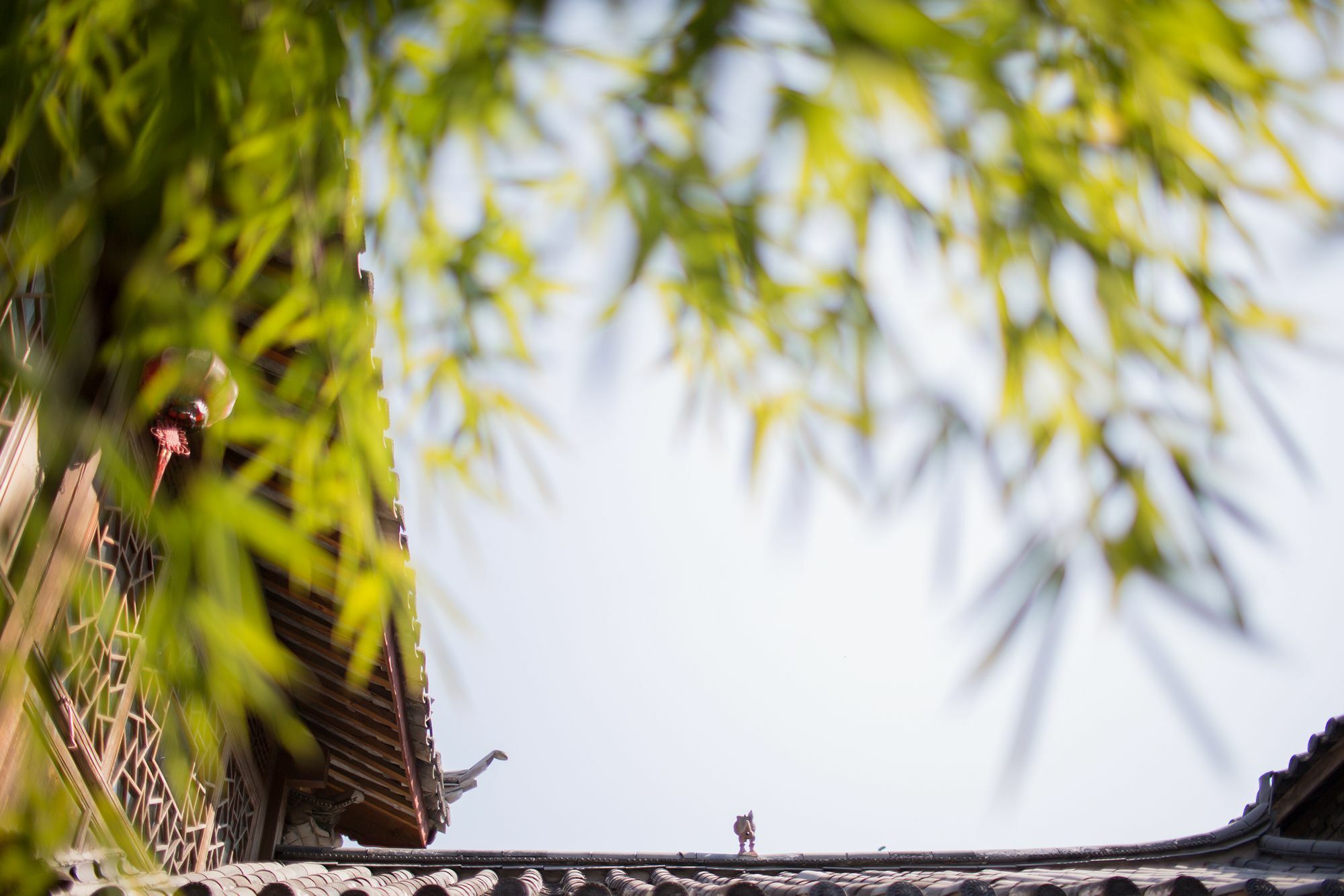 Xilu Xiaoxie Inn Old Town Lijiang Lijiang  Exterior photo